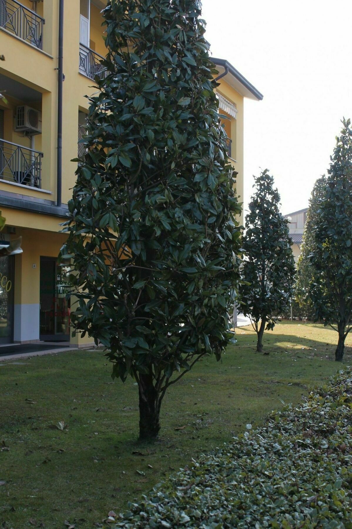 Sarno Apartments Caravaggio Sirmione Luaran gambar